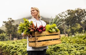 statiile de epurare si agricultura